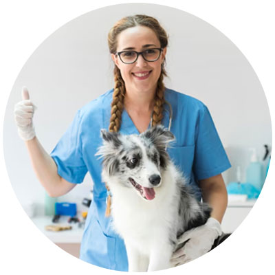 Pet Care